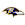 Baltimore Ravens